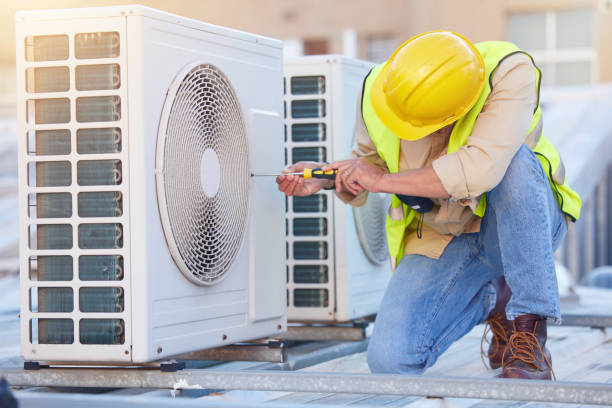 Best Local HVAC Companies  in Palmhurst, TX